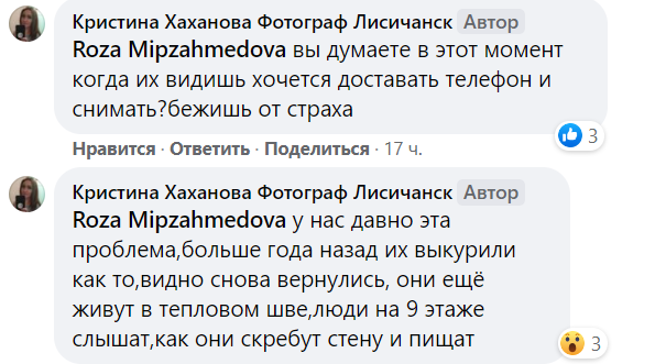 Лисичанск, новости соцсетей